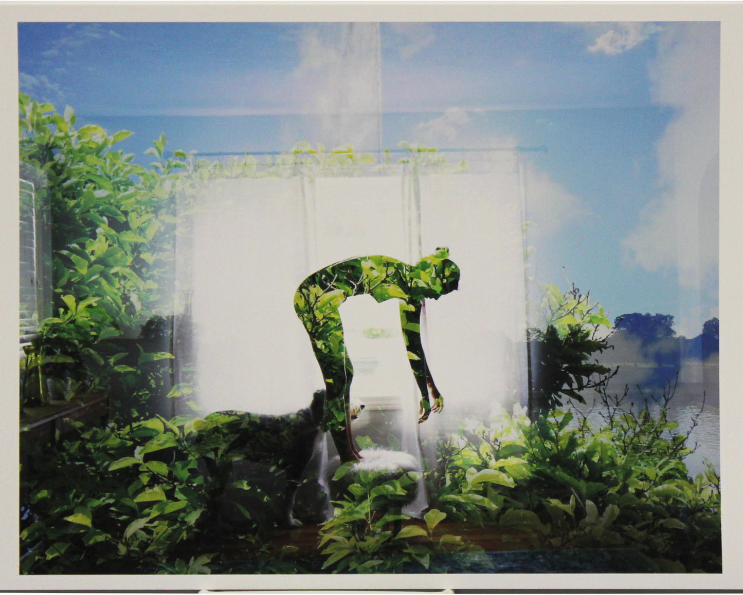 The Contemporary Print Series - Amy Powell