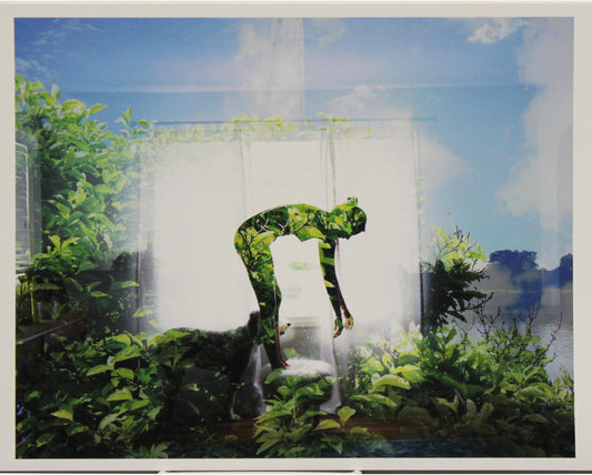 The Contemporary Print Series  - Amy Powell