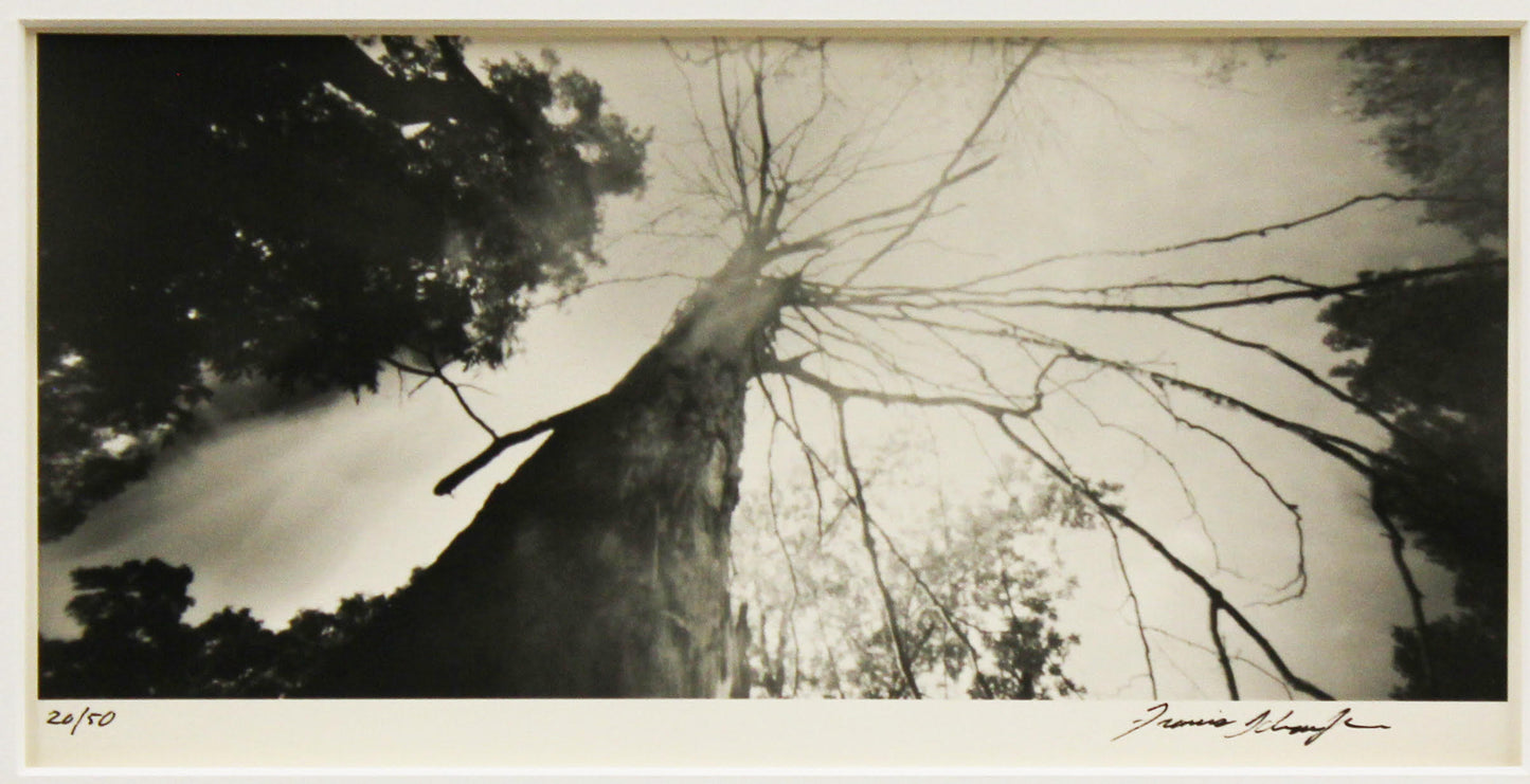 The Contemporary Print Series - Francis Schanberger
