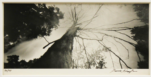 The Contemporary Print Series - Francis Schanberger
