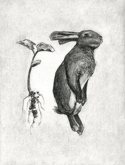 The Contemporary Print Series - Andrew Dailey
