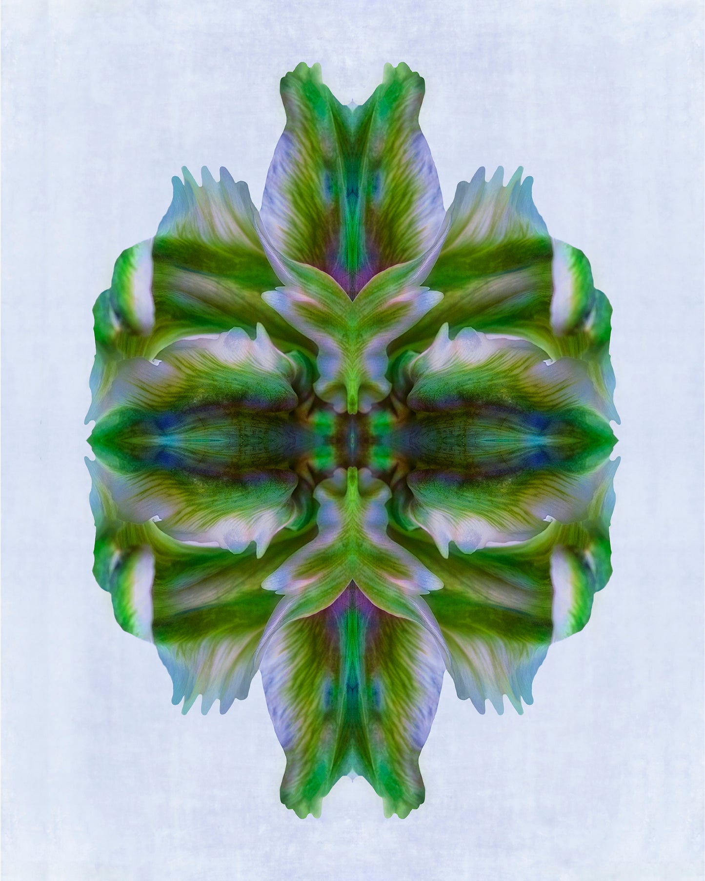 The Contemporary Print Series - Peggy Steinberg