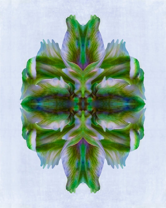 The Contemporary Print Series - Peggy Steinberg