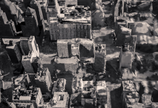 The Contemporary Print Series - Joel Whitaker Unframed