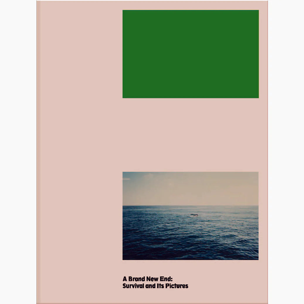 A Brand New End: Survival and its Pictures - Carmen Winant