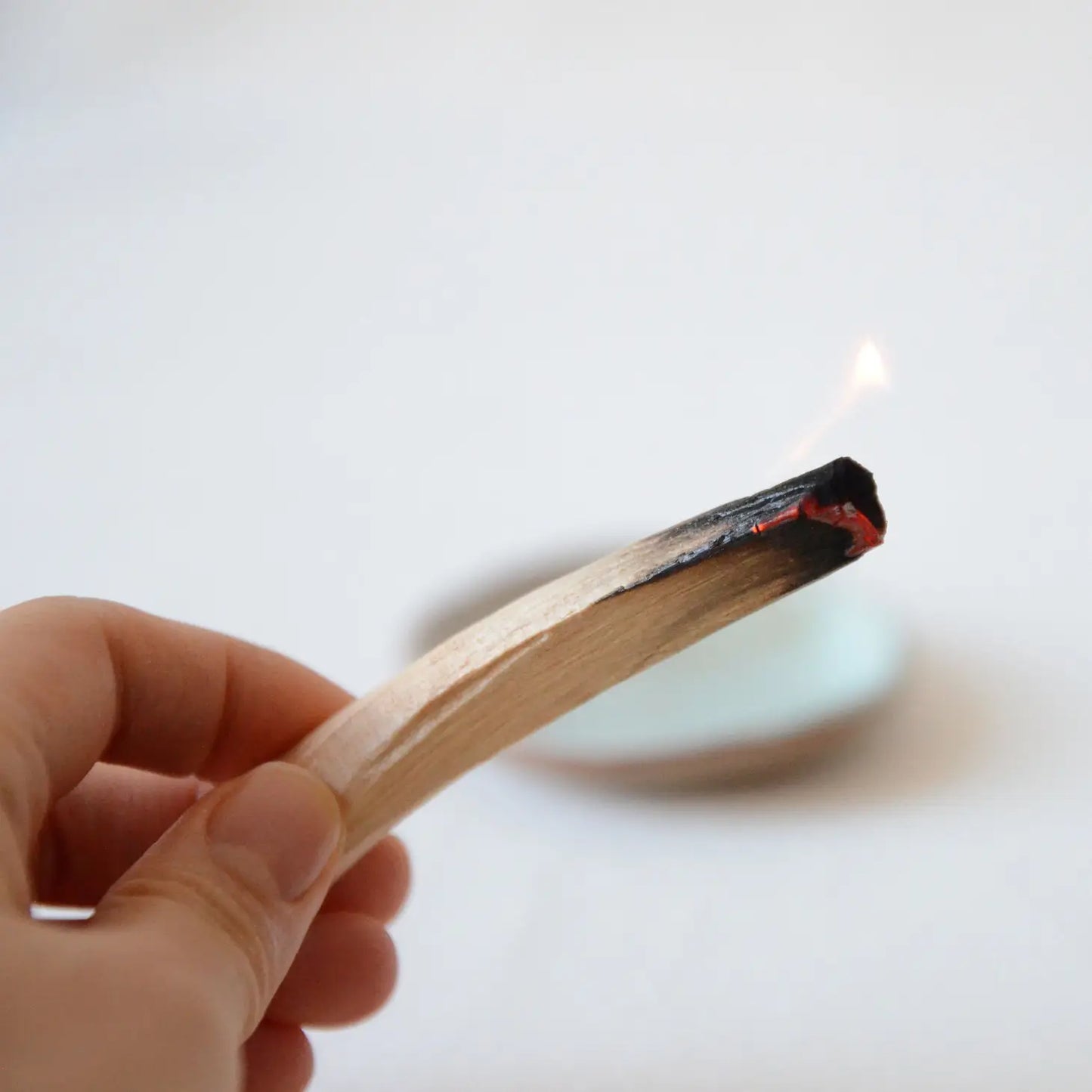 Burning Ritual: Palo Santo Sticks (Ecuador)