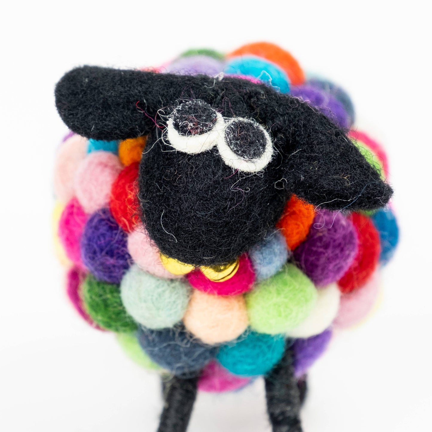 Sheep - Rainbow