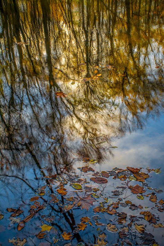 Dan Cleary: Autumn Mirror on the Little Miami River