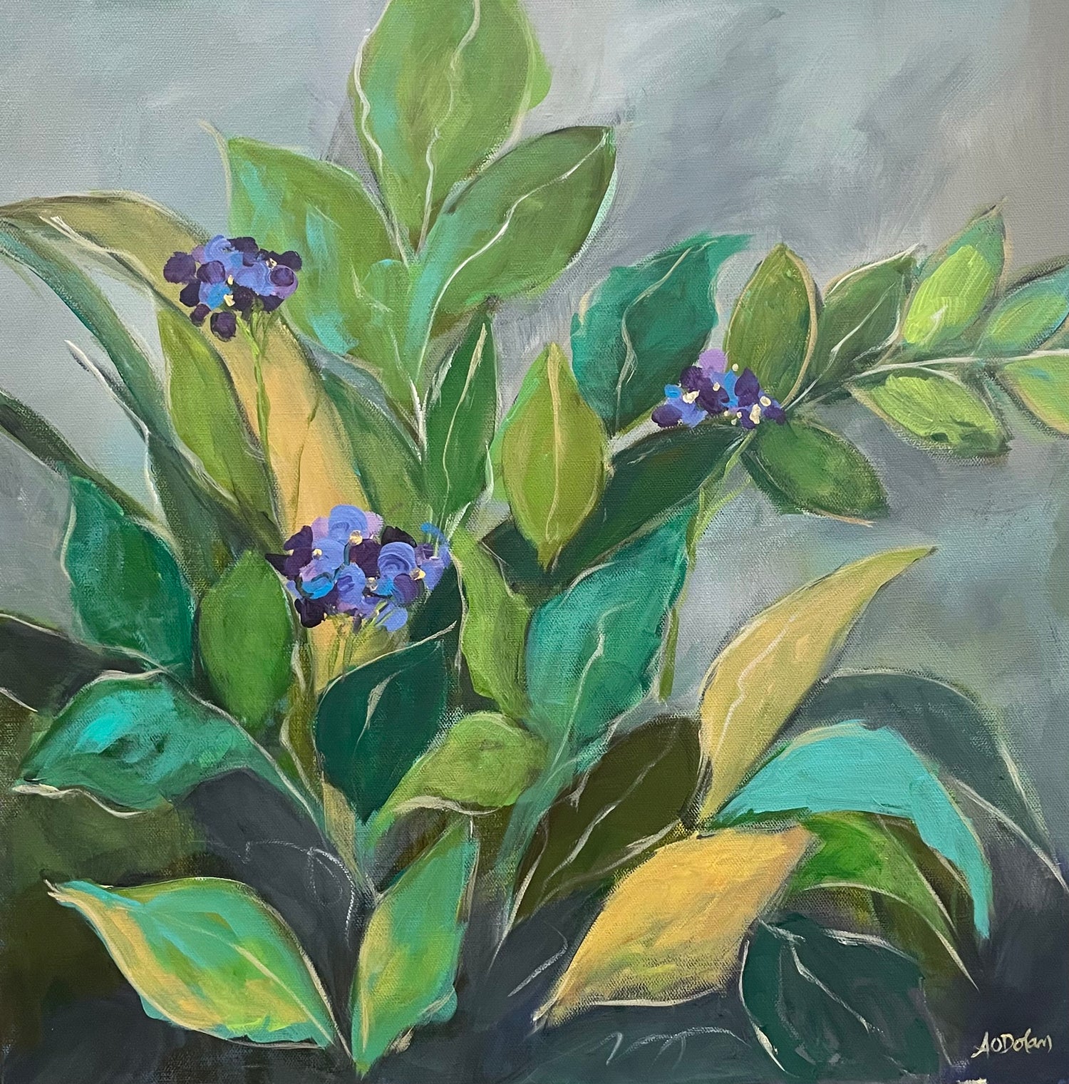 Member's Spotlight Exhibition