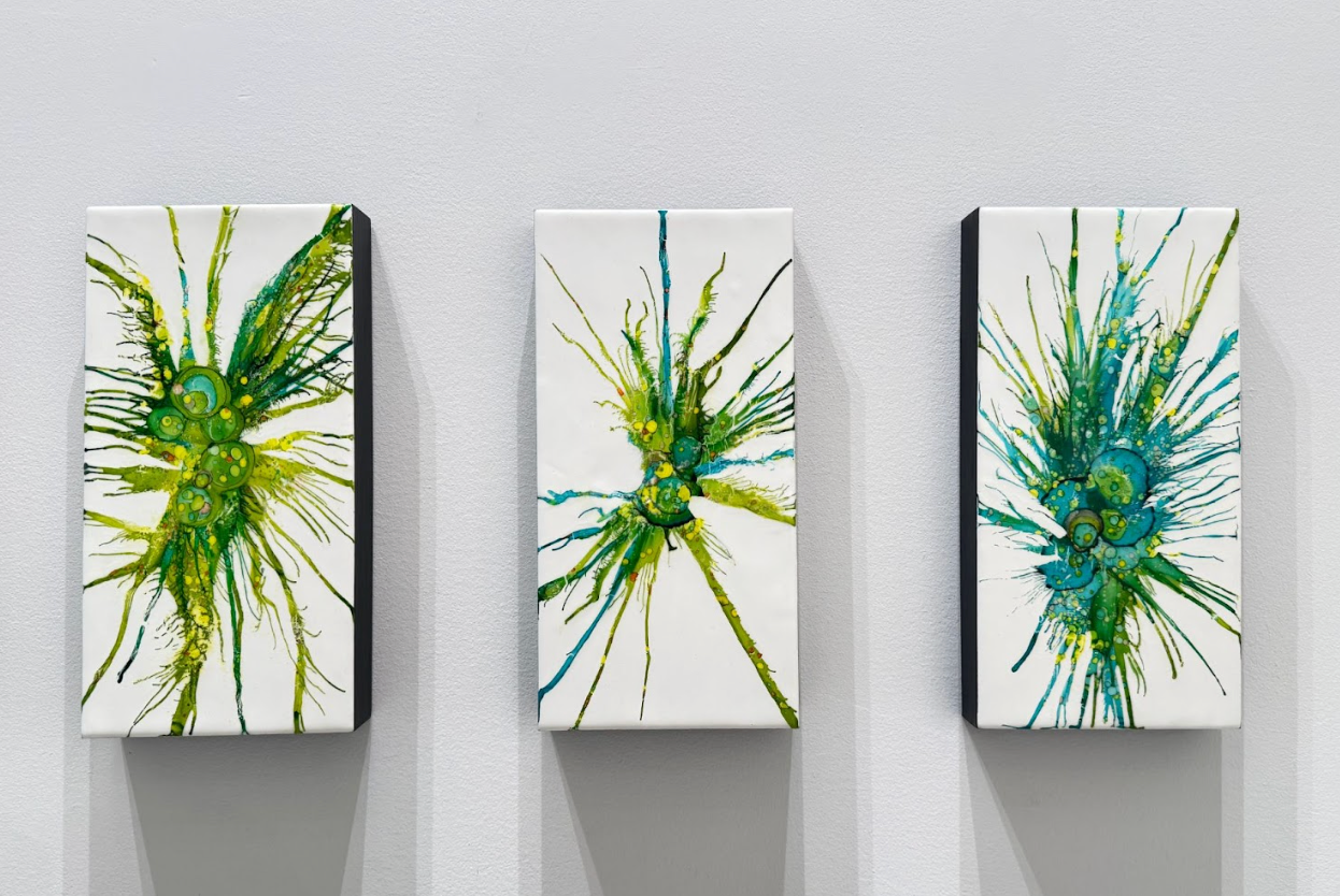 Member's Spotlight Exhibition