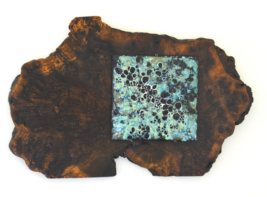 Teresa Olavarria - "Lichen 1"