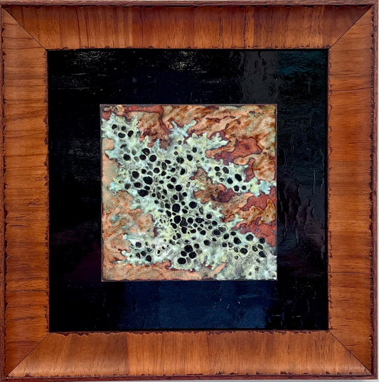 Teresa Olavarria - "Lichen 2"