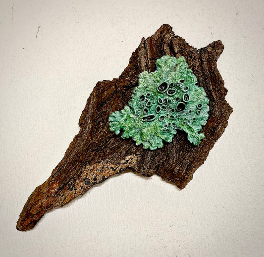 Teresa Olavarria - "Lichen 3"