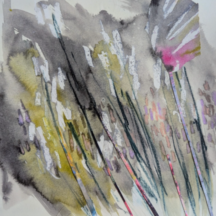 Deanna Newsom - Garden, May 29, Looking West