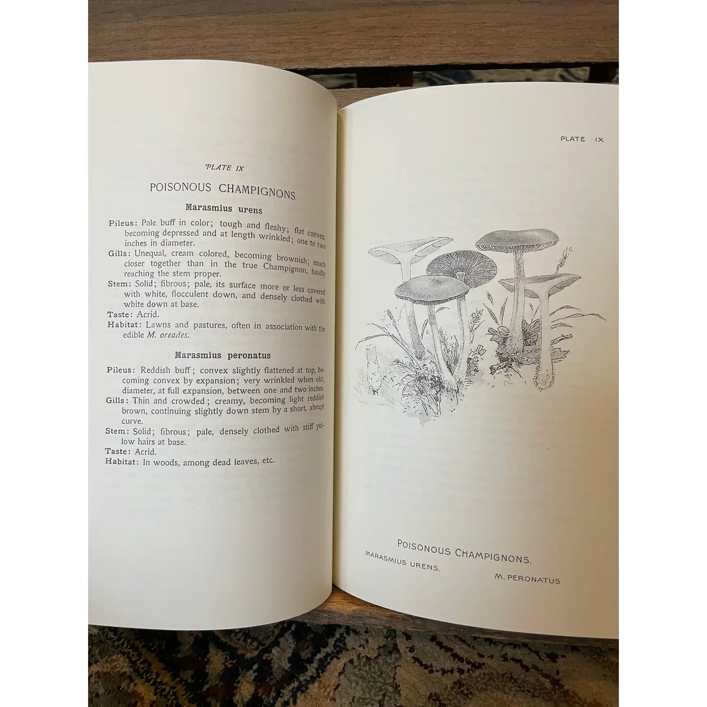 Edible Toadstools Book