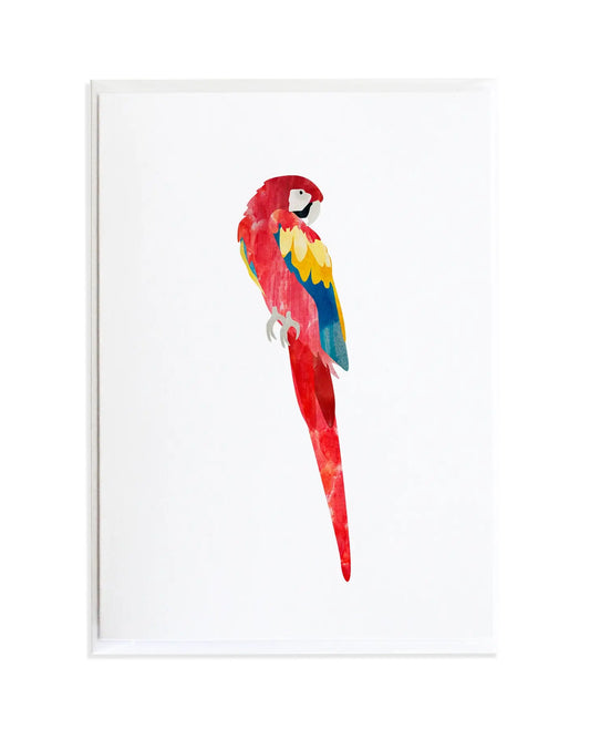 Macaw Parrot Card